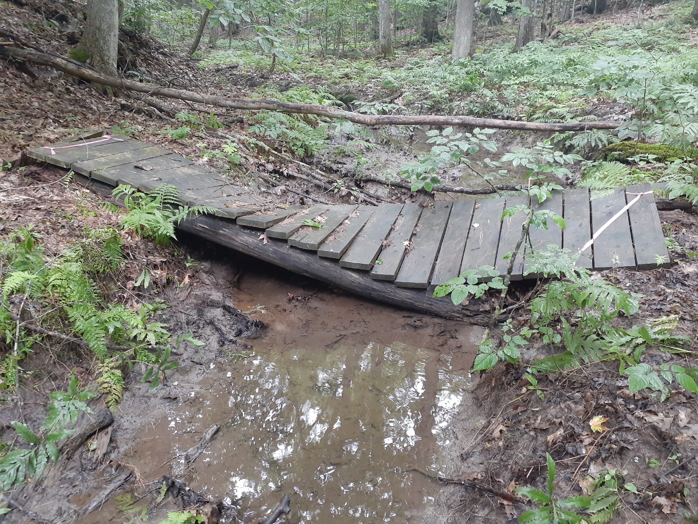 broken bridge Woodman